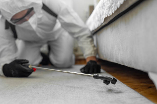 Professional Pest Control technician working in Lighthouse Point, FL